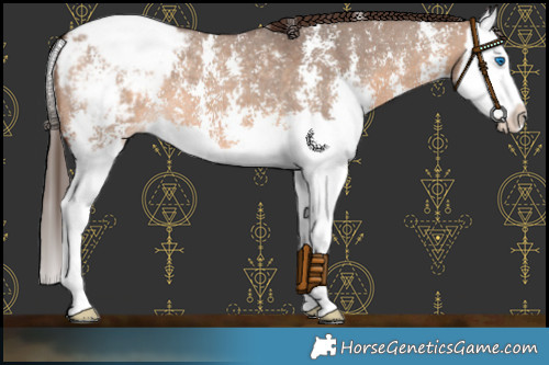 Horse Color:Brown Dun Sabino Splash Snowcap 