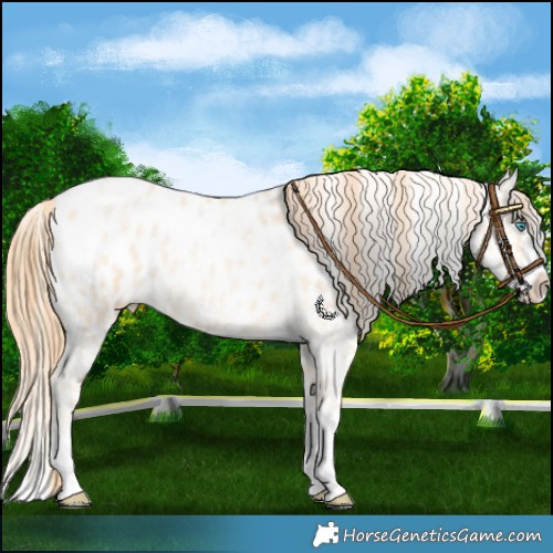 Horse Color:Buckskin Roan Pearl Splash Blanket Rabicano 
