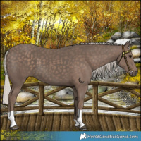 Horse Color:Silver Black Tobiano