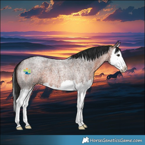 Horse Color:Brown Roan Splash 
