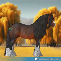 Horse Color:Brown Rabicano 