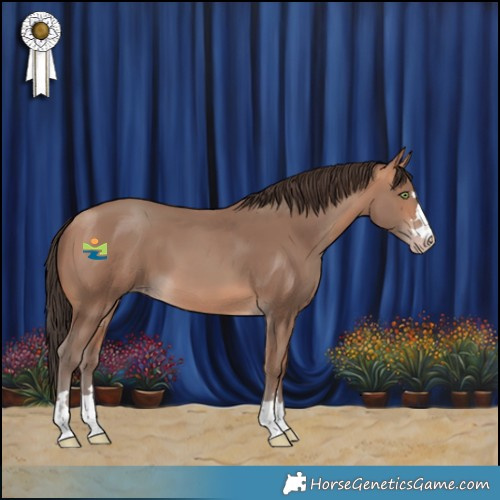 Horse Color:Amber Champagne 