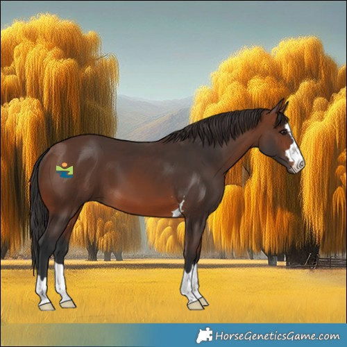 Horse Color:Brown 