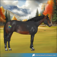 Horse Color:Brown Rabicano
