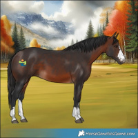 Horse Color:Brown 