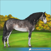 Horse Color:Platinum White Spotted Brown Rabicano