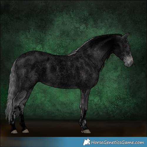 Horse Color:Void Platinum White Spotted Blue Roan Merle Rabicano 