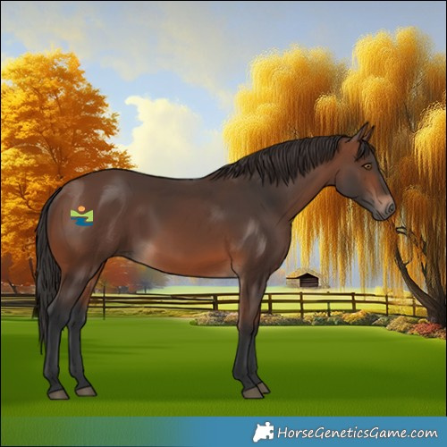 Horse Color:Brown 