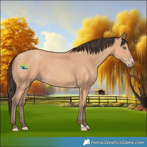 Horse Color:Amber Champagne 