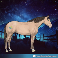 Horse Color:Amber Champagne 