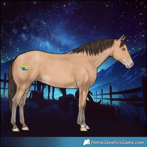 Horse Color:Amber Champagne 