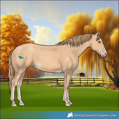Horse Color:Gold Champagne 