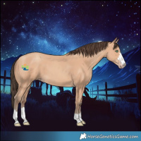 Horse Color:Amber Champagne 