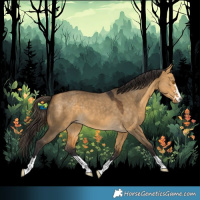 Horse Color:Buckskin Dun 