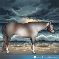 Horse Color:Gray White Spotted Liver Chestnut Tobiano 