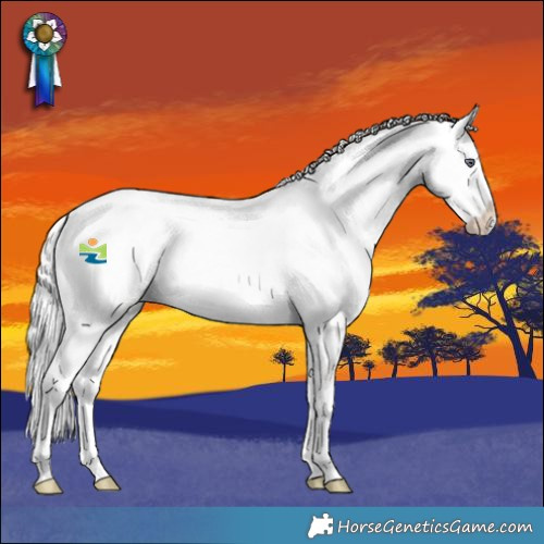 Horse Color:Liver Red Chinchilla Roan Sabino Splash 