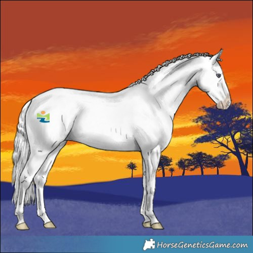 Horse Color:Liver Red Chinchilla Roan Sabino Splash 