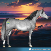 Horse Color:Brown Chinchilla 