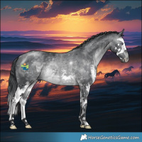 Horse Color:Brown Chinchilla Sabino Splash