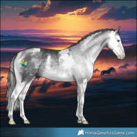 Horse Color:Brown Chinchilla Sabino Splash 