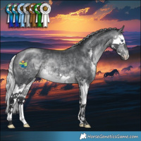 Horse Color:Silver Brown Chinchilla Sabino Splash