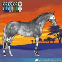 Horse Color:Silver Brown Chinchilla Sabino Splash 