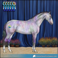 Horse Color:Nacre Brown Chinchilla Roan 