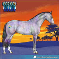 Horse Color:Nacre Brown Chinchilla Roan 