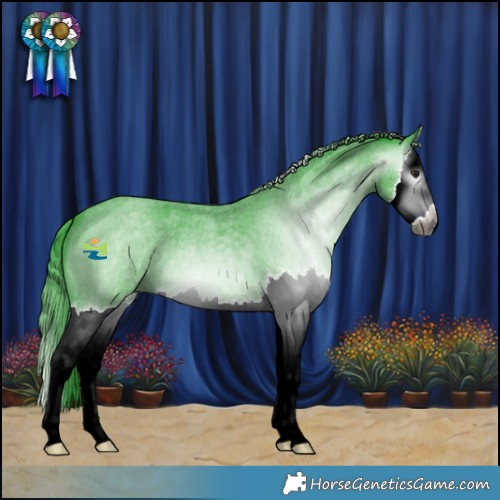 Horse Color:Gray Watercolor Blue Chinchilla Roan Splash Appaloosa 