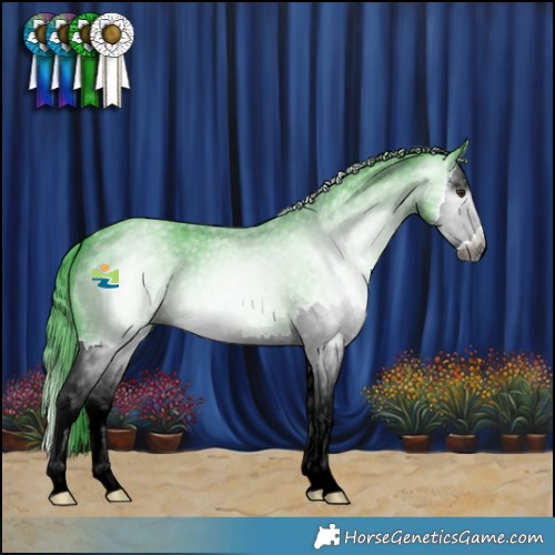 Horse Color:Gray Watercolor Blue Chinchilla Roan Splash Varnish 