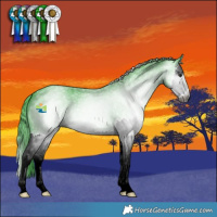 Horse Color:Gray Watercolor Blue Chinchilla Roan Splash Varnish 