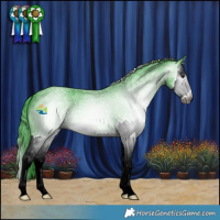 Horse Color:Gray Watercolor Blue Chinchilla Roan Splash Appaloosa 