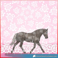Horse Color:Silver Smoky Black Merle Tobiano 