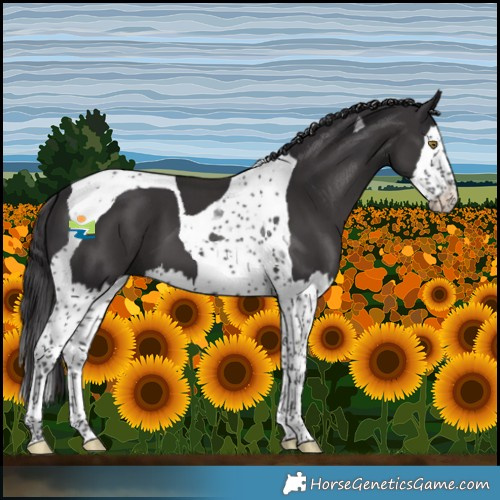 Horse Color:Smoky Black Splash Tobiano 