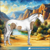 Horse Color:Buckskin Dun Splash Tobiano Brindle