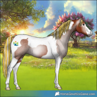 Horse Color:Gray Painted Silver Bay Tobiano 