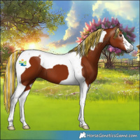 Horse Color:Gray Painted Silver Bay Tobiano 