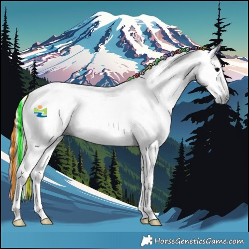 Horse Color:Gray Painted Bay Onyx Splash 