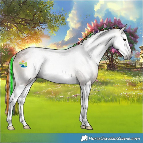 Horse Color:Gray Painted Bay Onyx Splash 