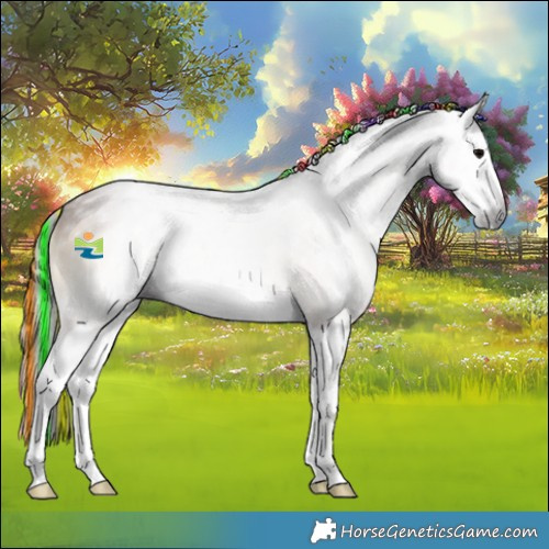 Horse Color:Gray Painted Bay Onyx Splash 
