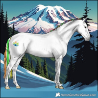 Horse Color:Gray Painted Bay Onyx Splash 