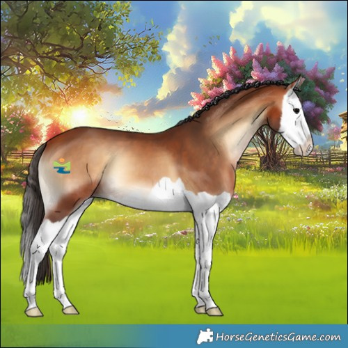 Horse Color:Bay Onyx Splash 