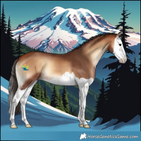 Horse Color:Bay Onyx Splash 