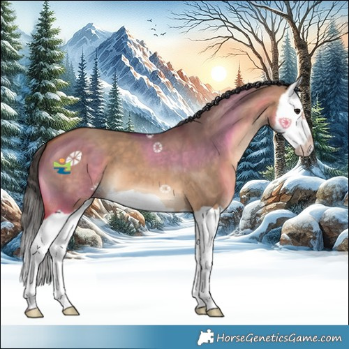 Horse Color:Bay Dun Splash 