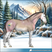 Horse Color:Bay Dun Splash 