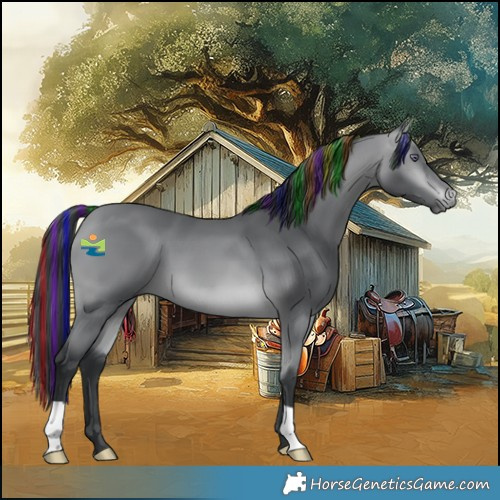 Horse Color:Painted Bay Chinchilla 