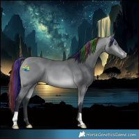 Horse Color:Painted Bay Chinchilla 