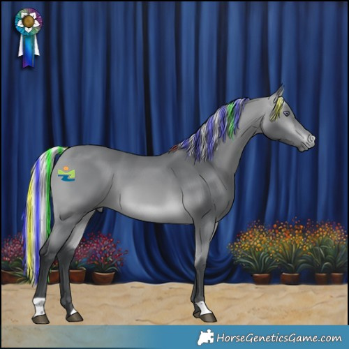 Horse Color:Painted Silver Bay Chinchilla 