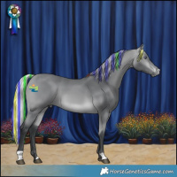 Horse Color:Painted Silver Bay Chinchilla 