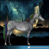 Horse Color:Painted Bay Chinchilla 